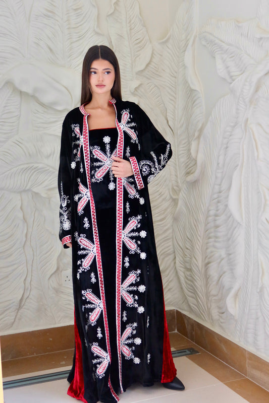 Velvet butterfly embroidered and beaded 2 piece set